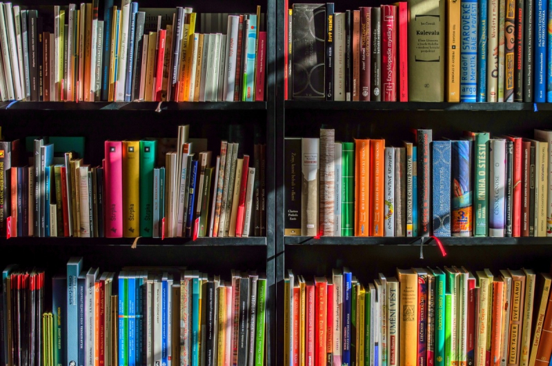 vitrine-STE ANASTASIE SUR ISSOLE-min_books_bookstore_book_reading_shop_writer_sale_books_read-822866